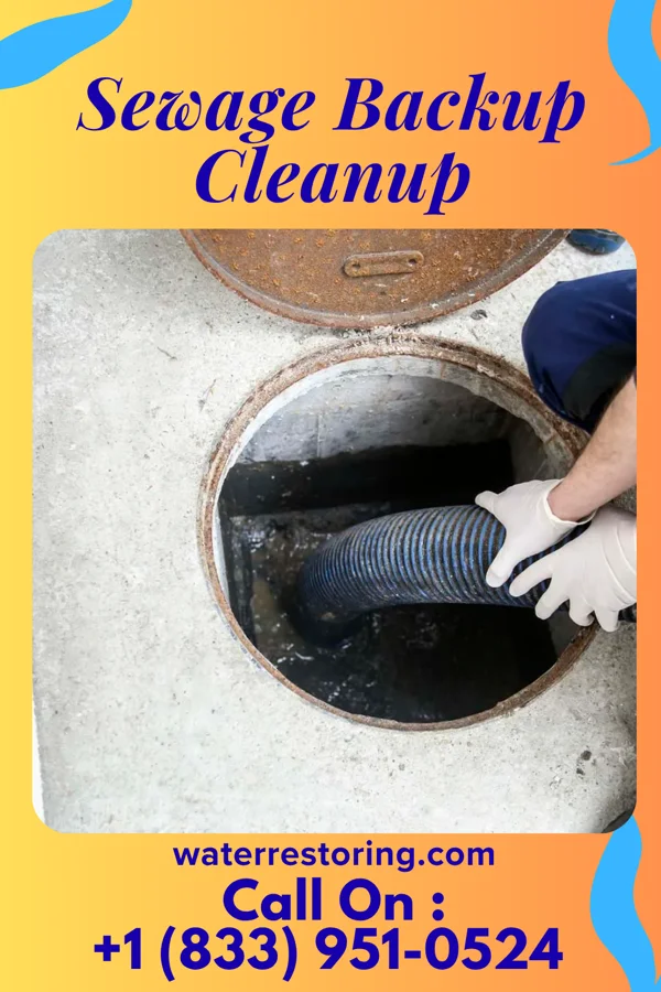 Sewage Backup Cleanup in Shady Point, OK